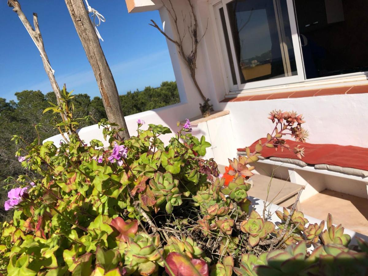 Apartamento Ático Rex II Es Pujols Exterior foto